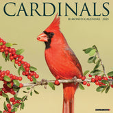 2025 Cardinals Calendar