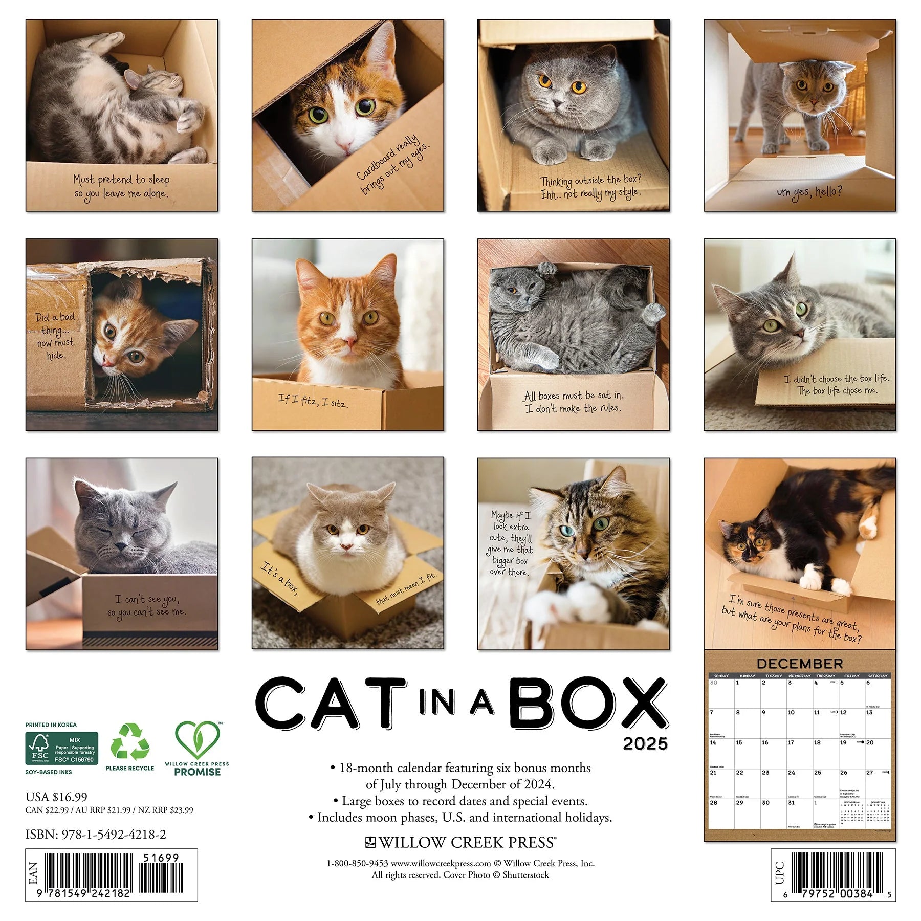 2025 Cat In Box Calendar