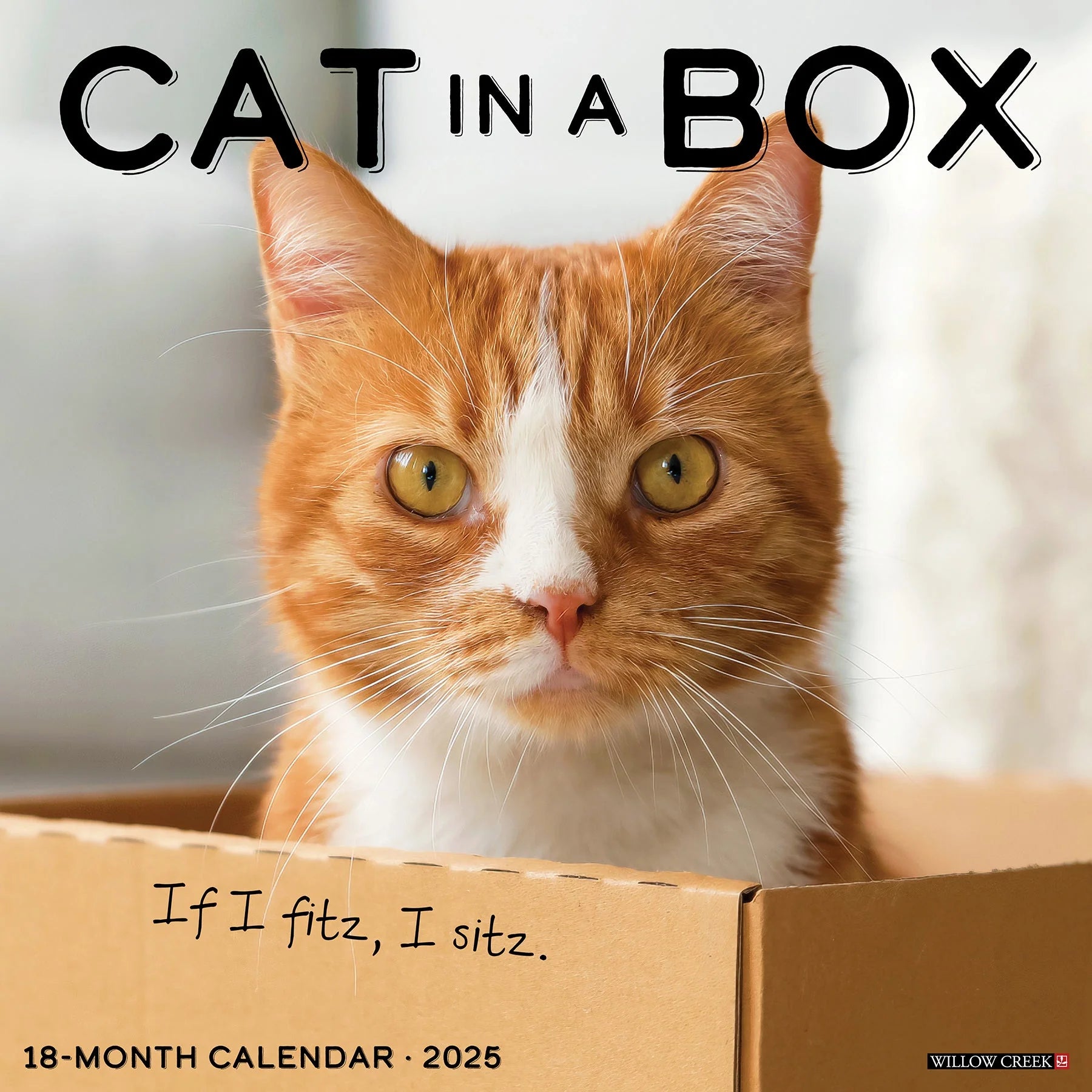 2025 Cat In Box Calendar