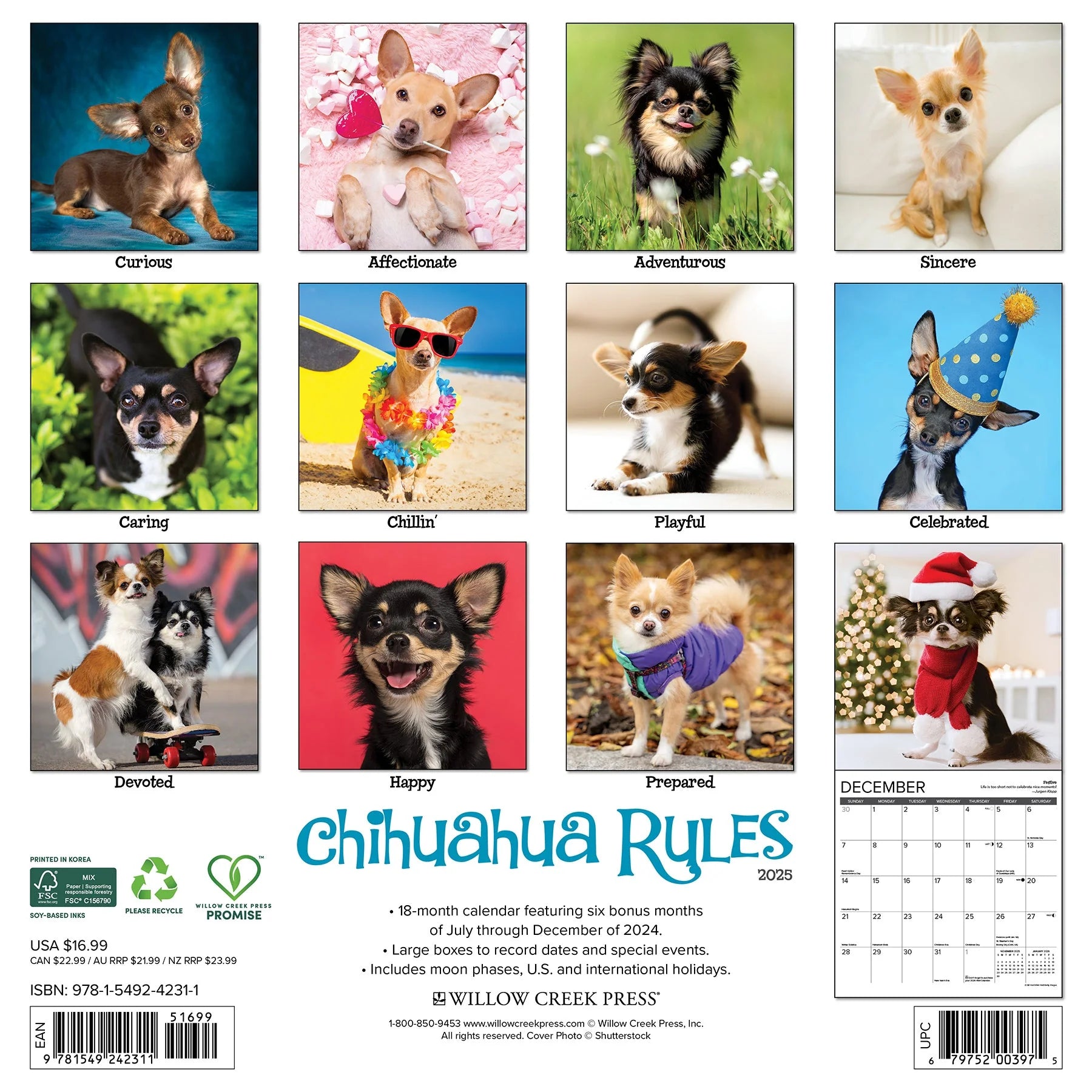 2025 Chihuahua Rules Calendar