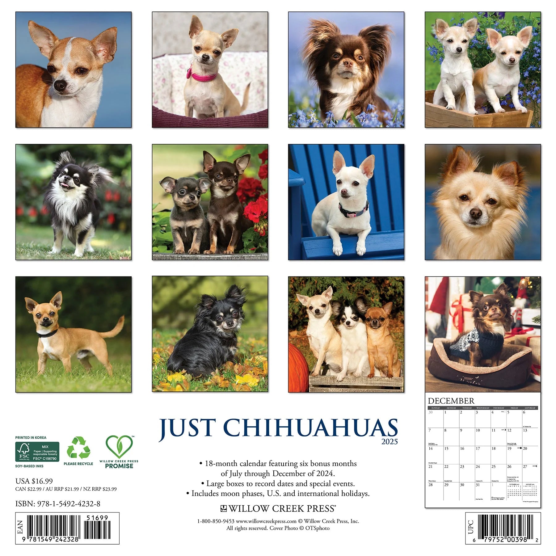 2025 Chihuahuas Calendar