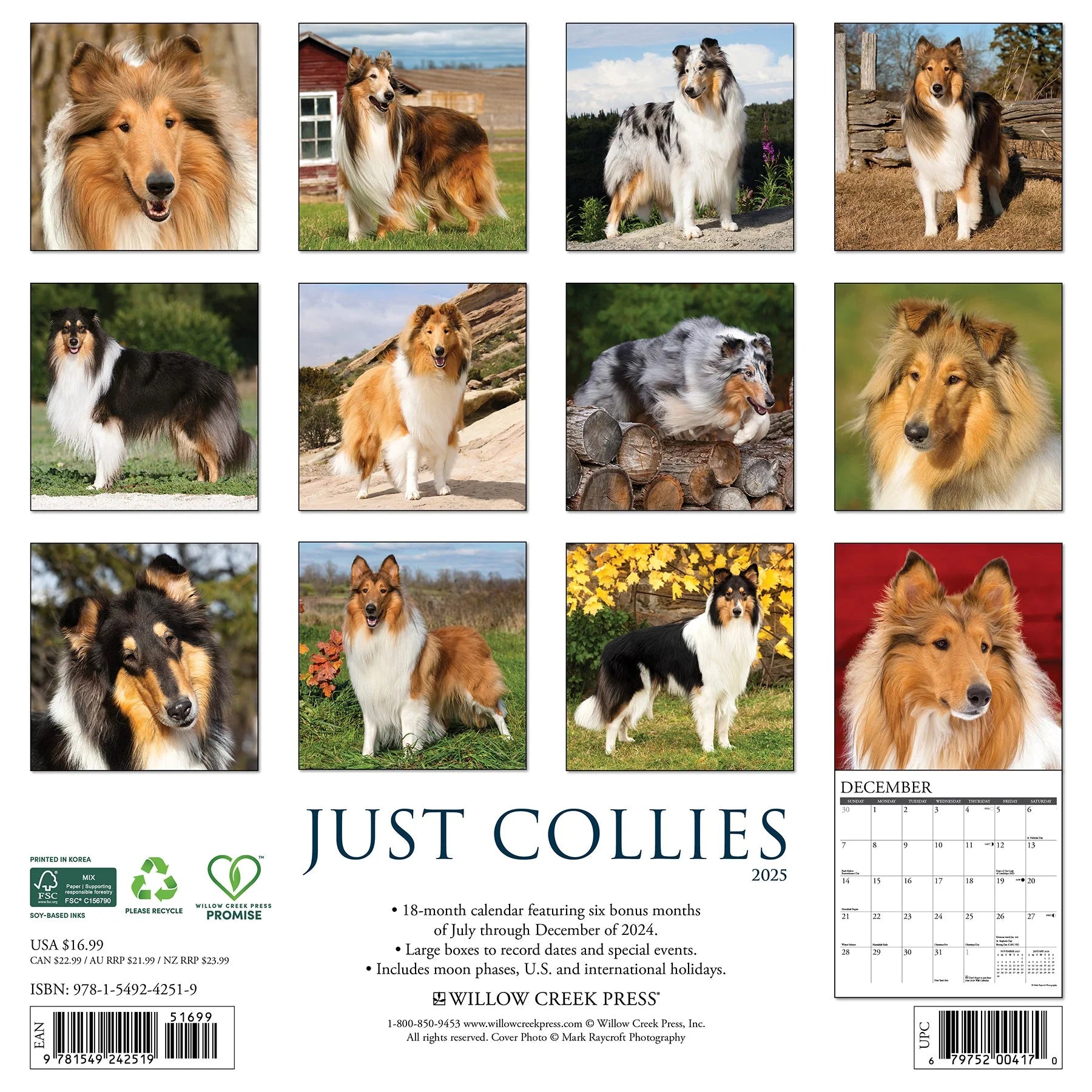 2025 Collies Spaniels Calendar