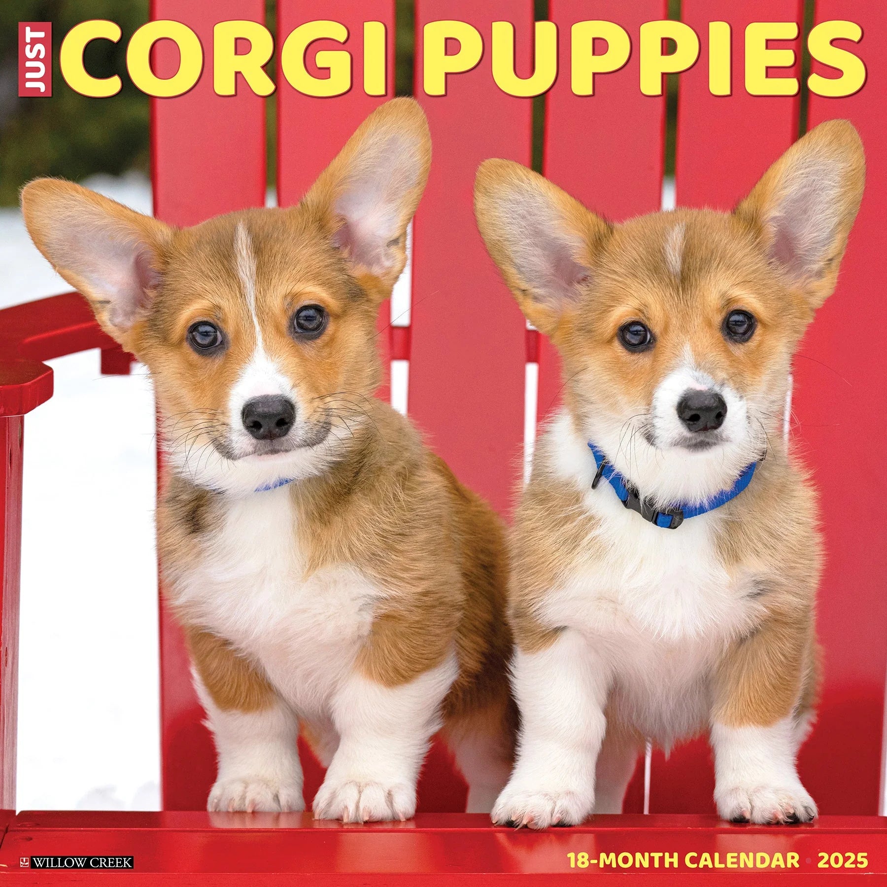 2025 Corgi Puppies Calendar