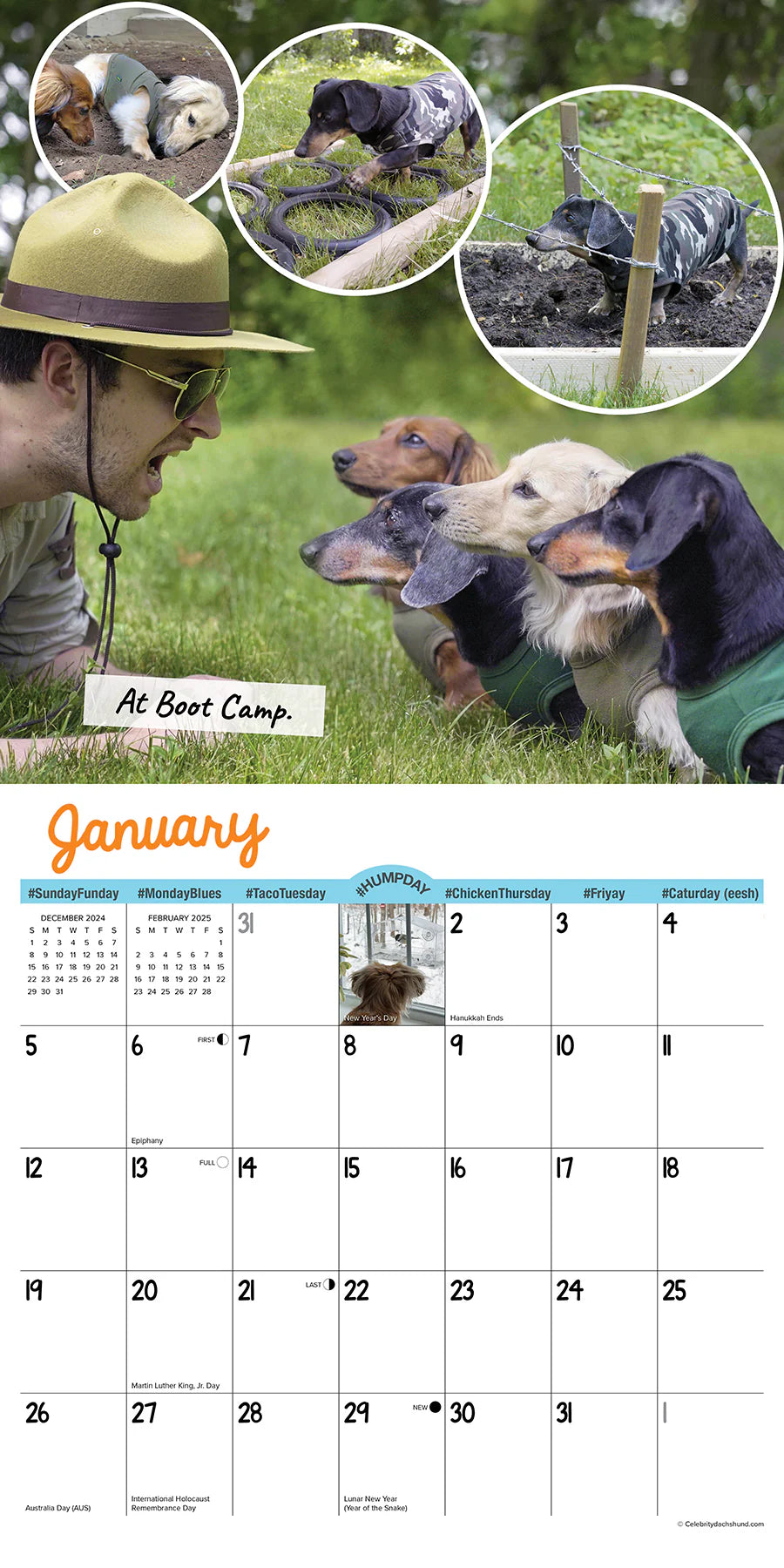 2025 Crusoe The Celebrity Dachshund Calendar