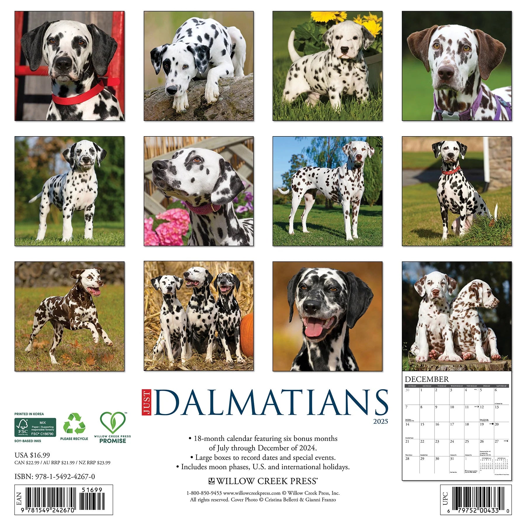 2025 Dalmatians Calendar