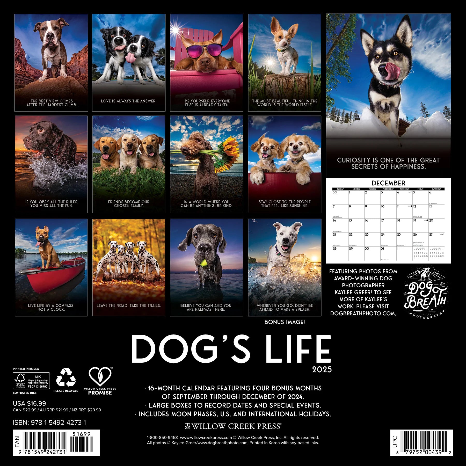 2025 Dog's Life Calendar