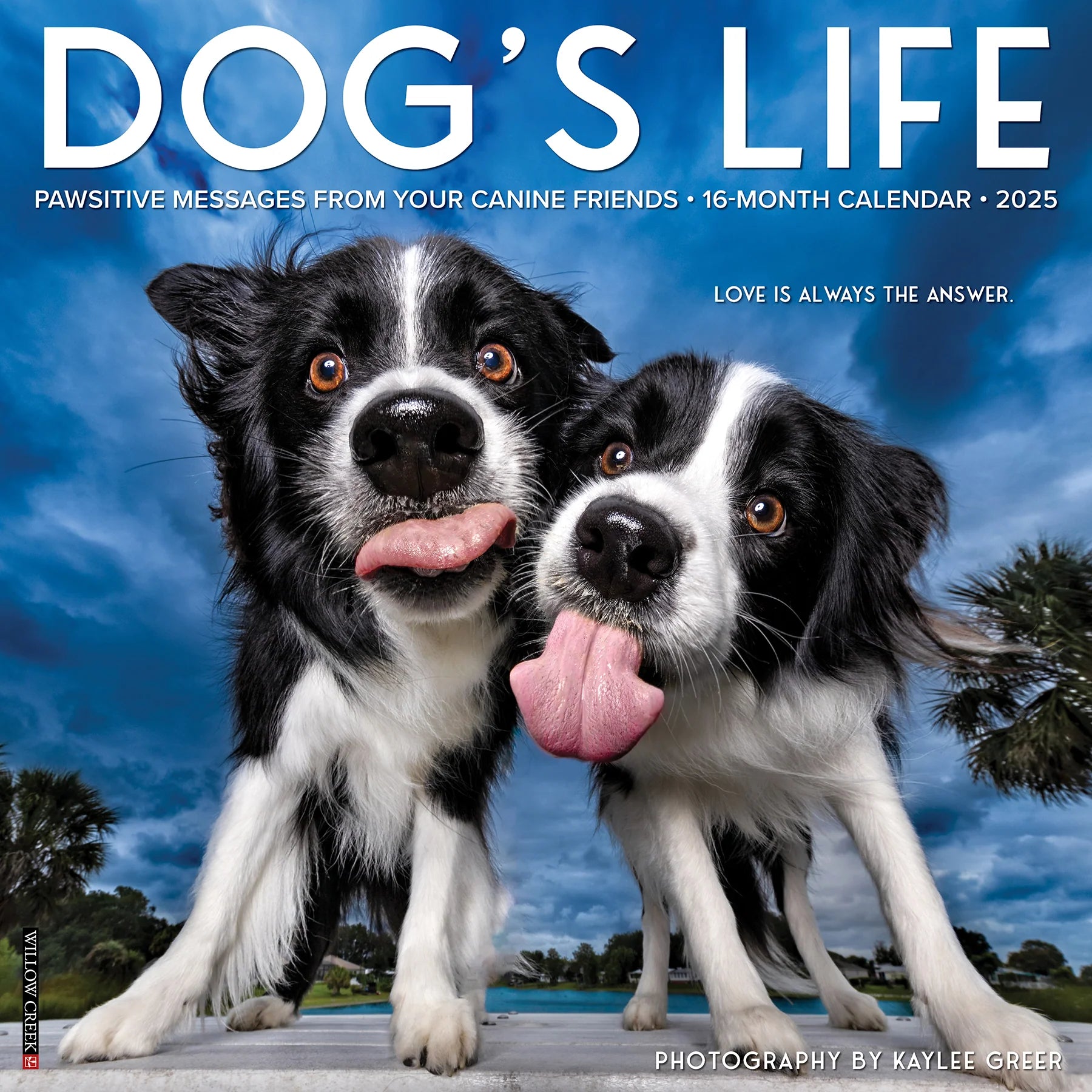 2025 Dog's Life Calendar