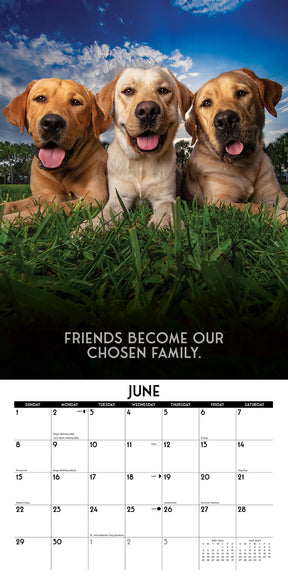 2025 Dog's Life Calendar