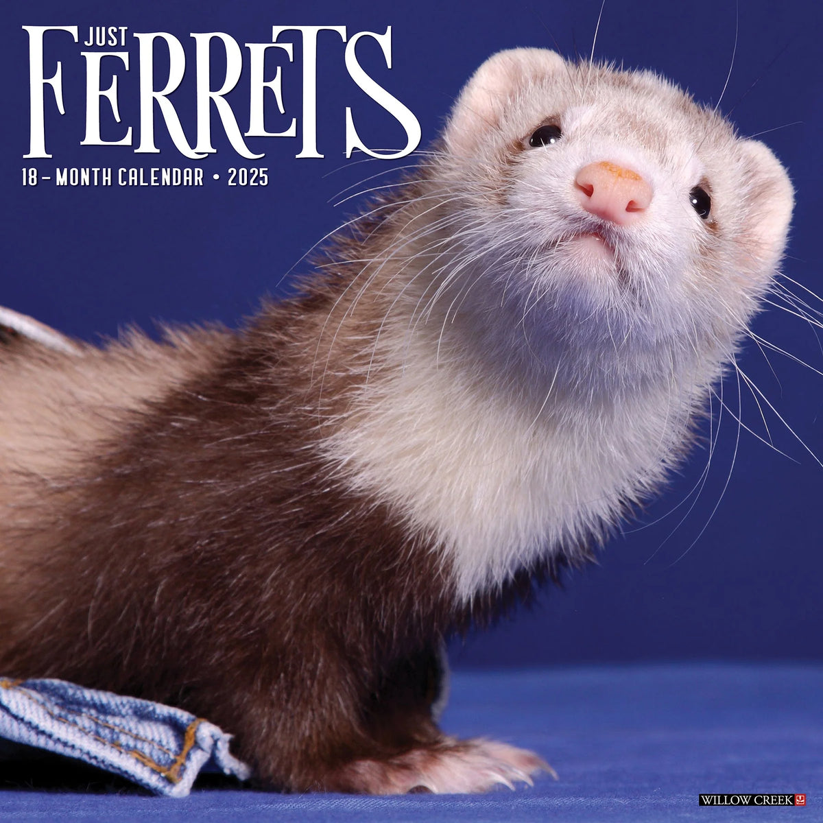 2025 Ferrets Calendar