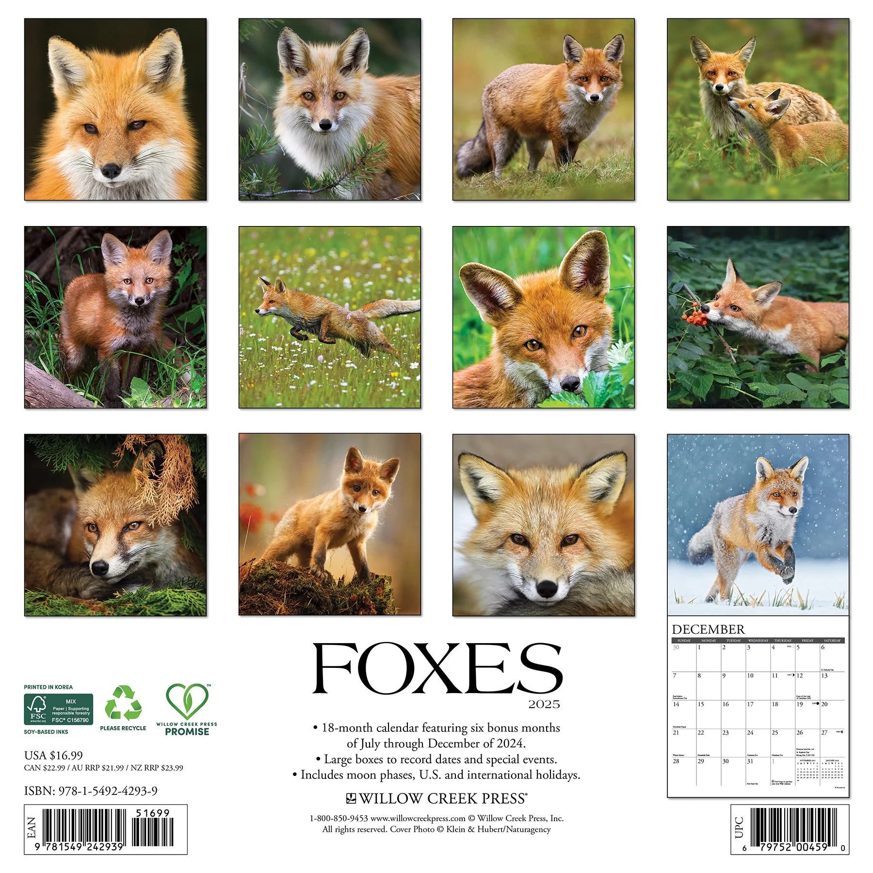 2025 Foxes Calendar