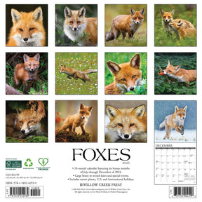 2025 Foxes Calendar