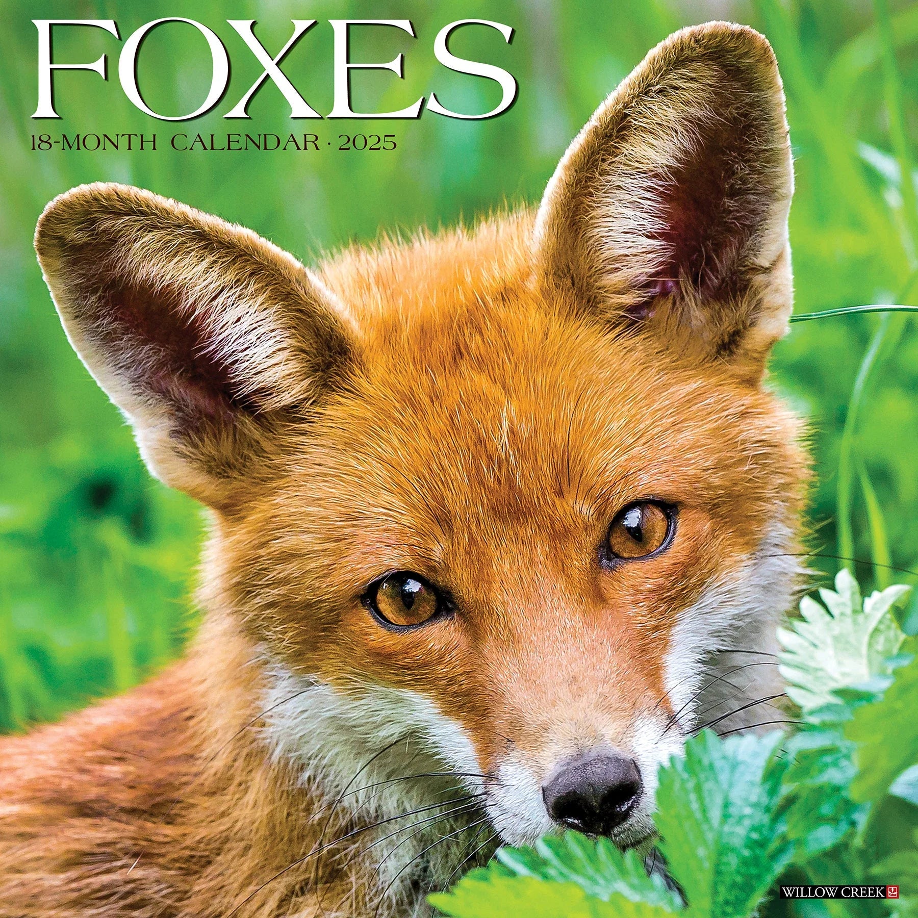 2025 Foxes Calendar