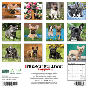 2025 French Bulldog Puppies Calendar