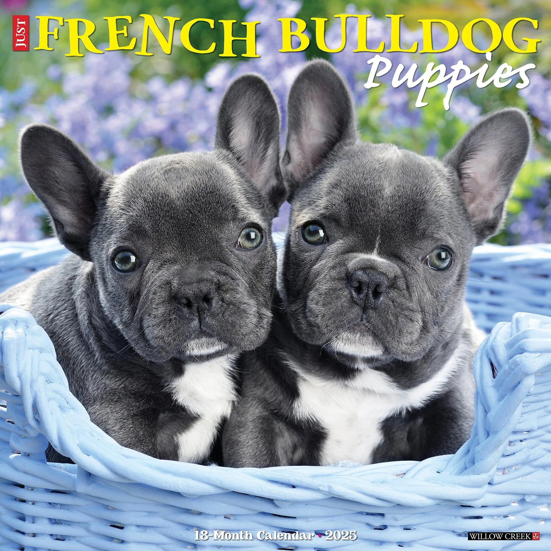 2025 French Bulldog Puppies Calendar