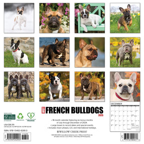 2025 French Bulldogs Calendar