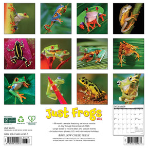 2025 Frogs Calendar