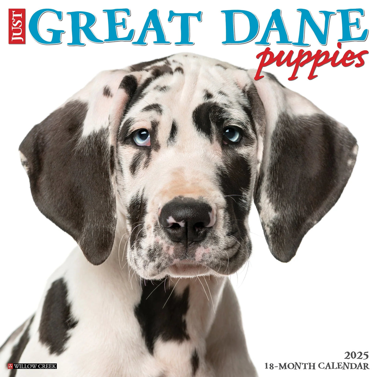 2025 Great Dane Puppies Calendar