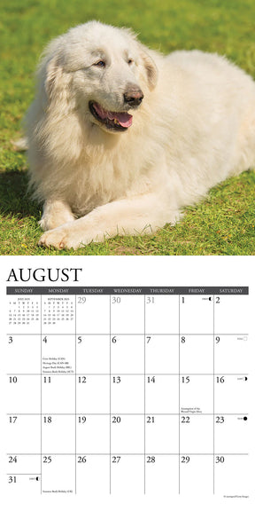 2025 Great Pyrenees Calendar