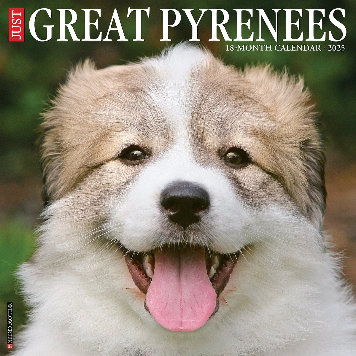 2025 Great Pyrenees Calendar