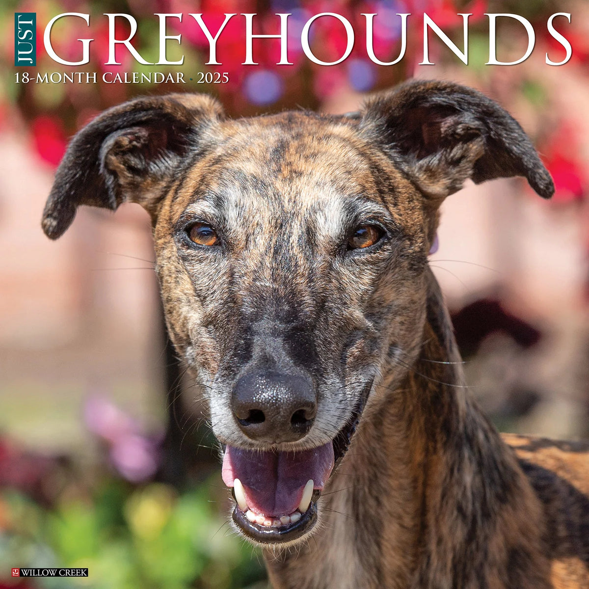 2025 Greyhounds Calendar