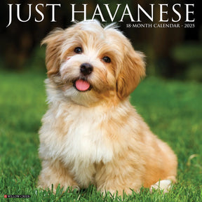 2025 Havanese Calendar