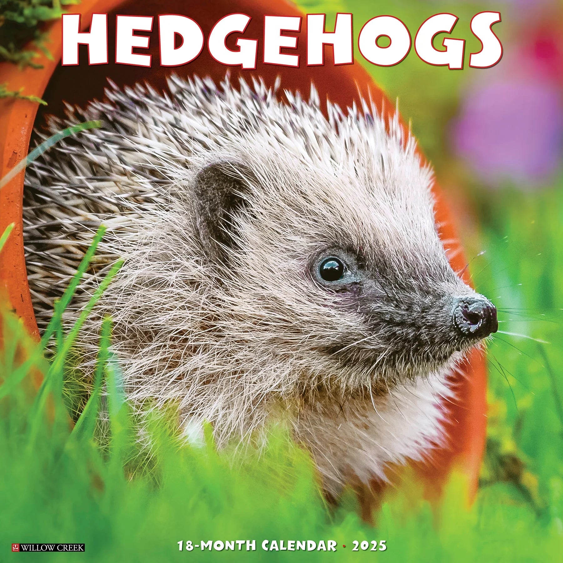 2025 Hedgehogs Calendar