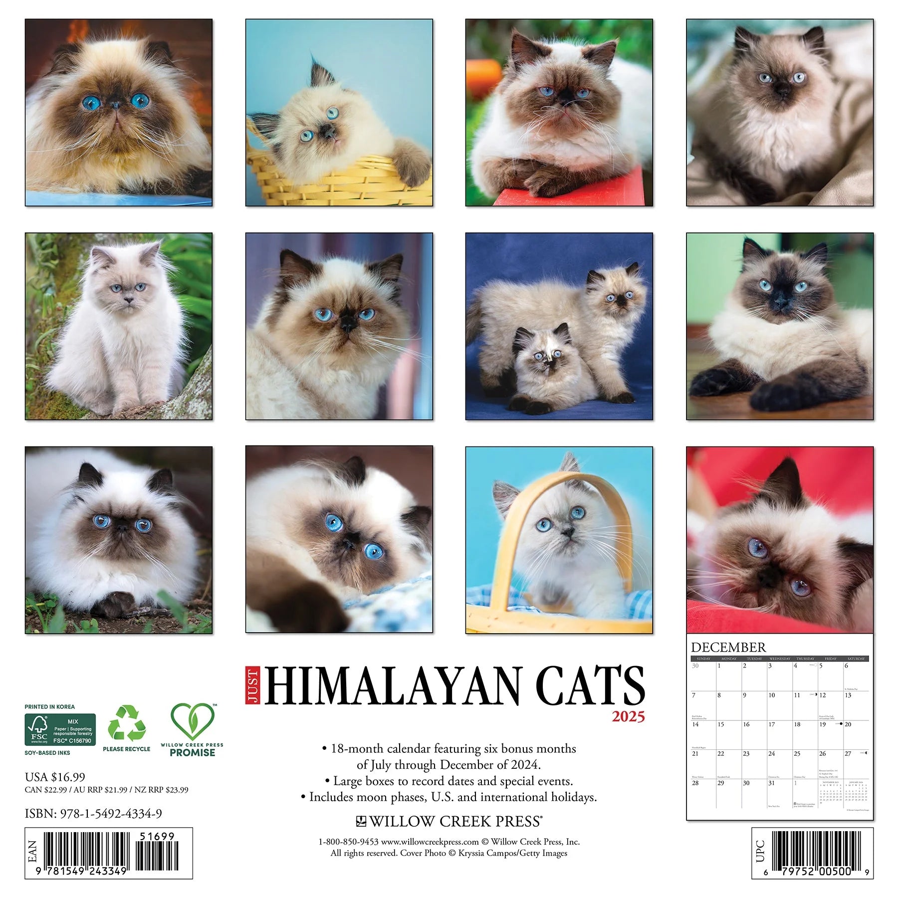 2025 Himalayan Cats Calendar