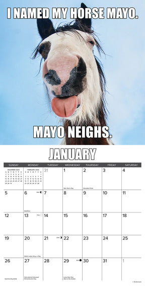 2025 Horsin' Around Calendar