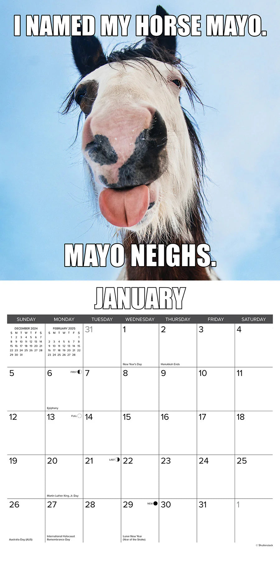 2025 Horsin' Around Calendar