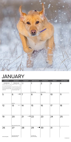 2025 Hunting Labs Calendar