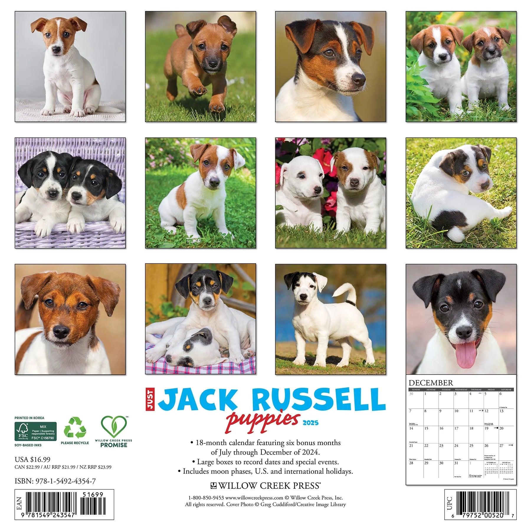 2025 Jack Russell Puppies Calendar