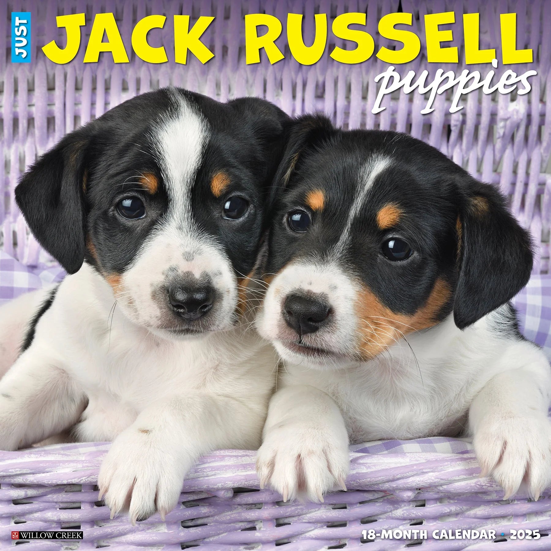 2025 Jack Russell Puppies Calendar