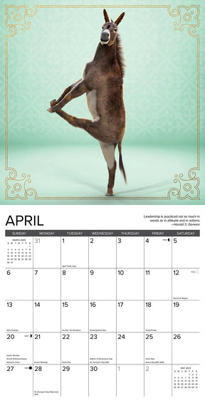 2025 Jackass Yoga Calendar