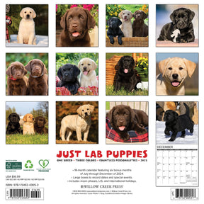 2025 Lab Puppies Calendar