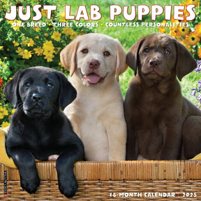 2025 Lab Puppies Calendar