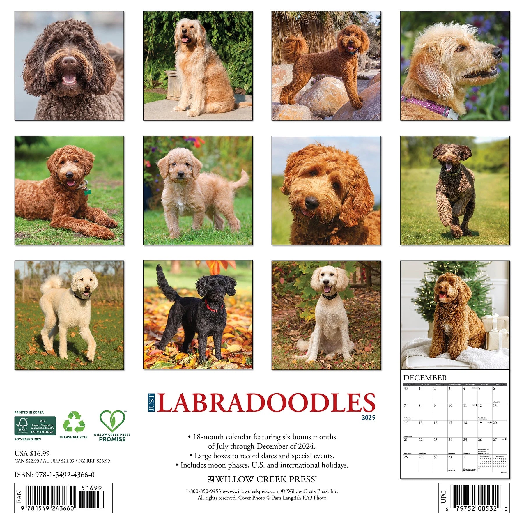 2025 Labradoodles Calendar