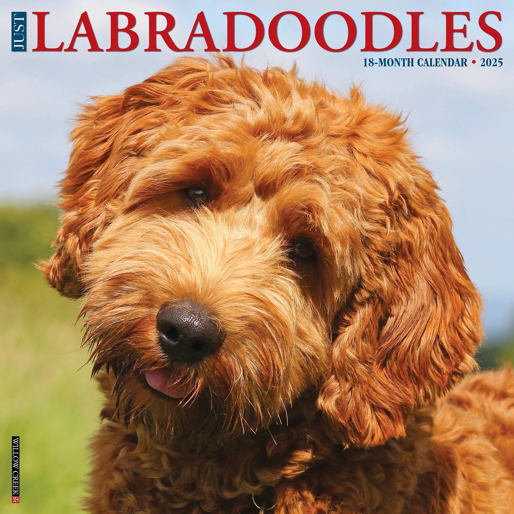 2025 Labradoodles Calendar