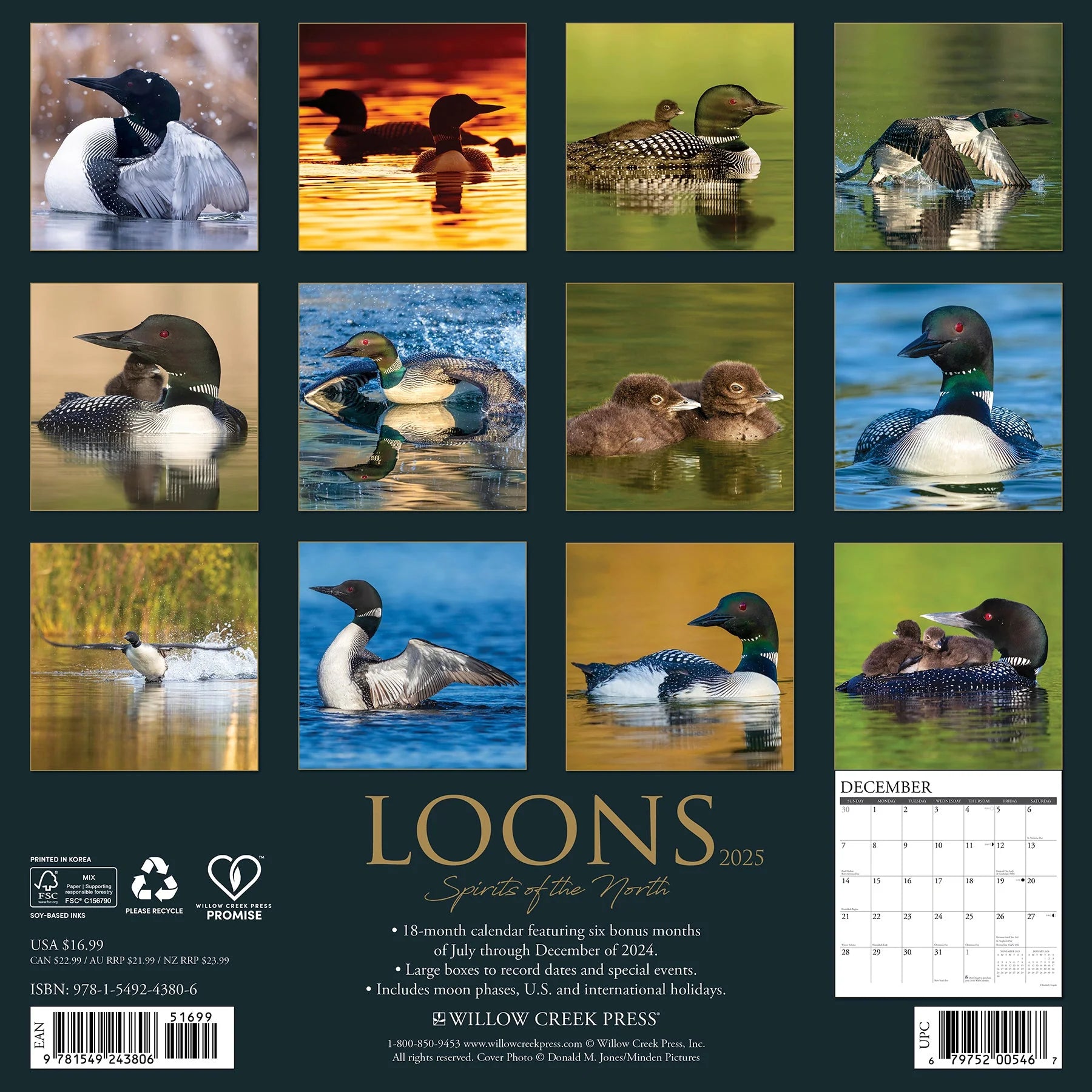 2025 Loons Calendar