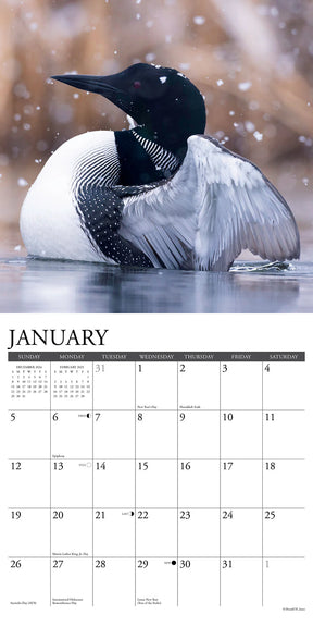 2025 Loons Calendar