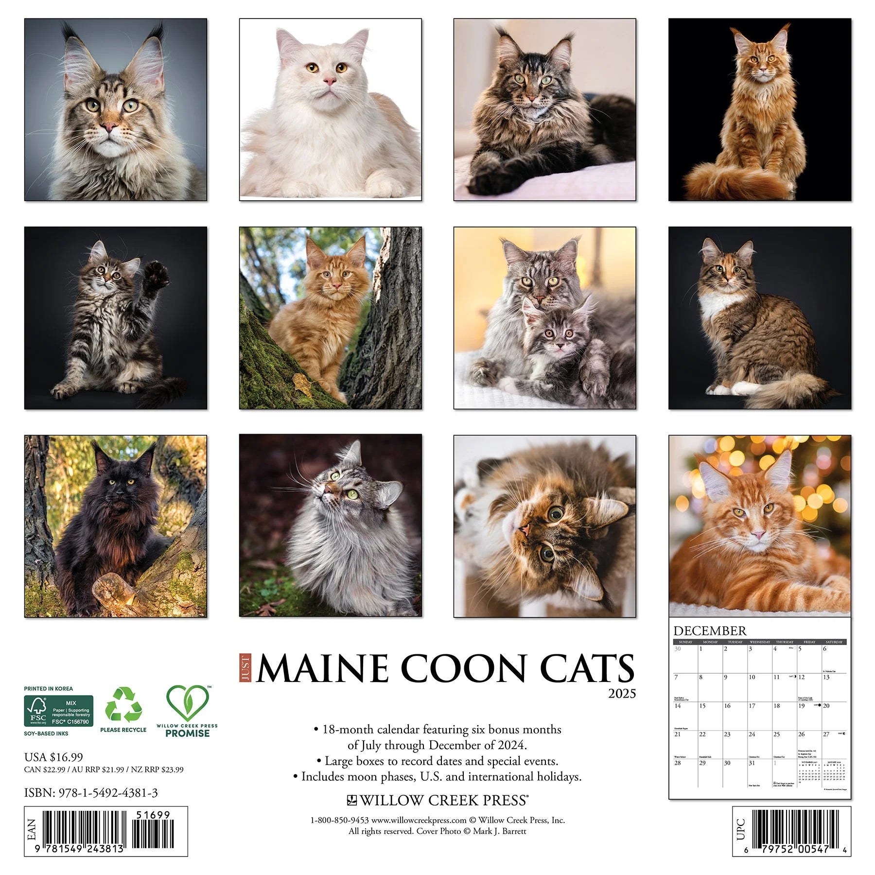 2025 Maine Coon Cats Calendar