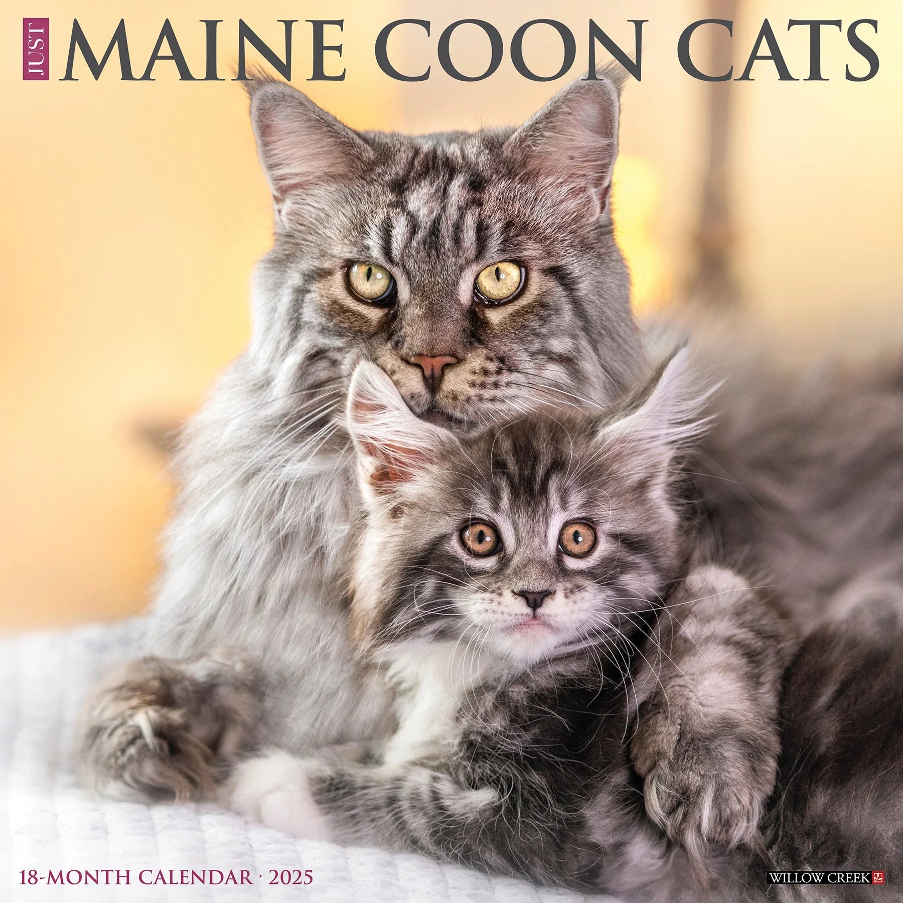 2025 Maine Coon Cats Calendar