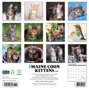 2025 Maine Coon Kittens Calendar