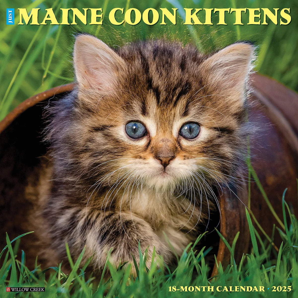 2025 Maine Coon Kittens Calendar