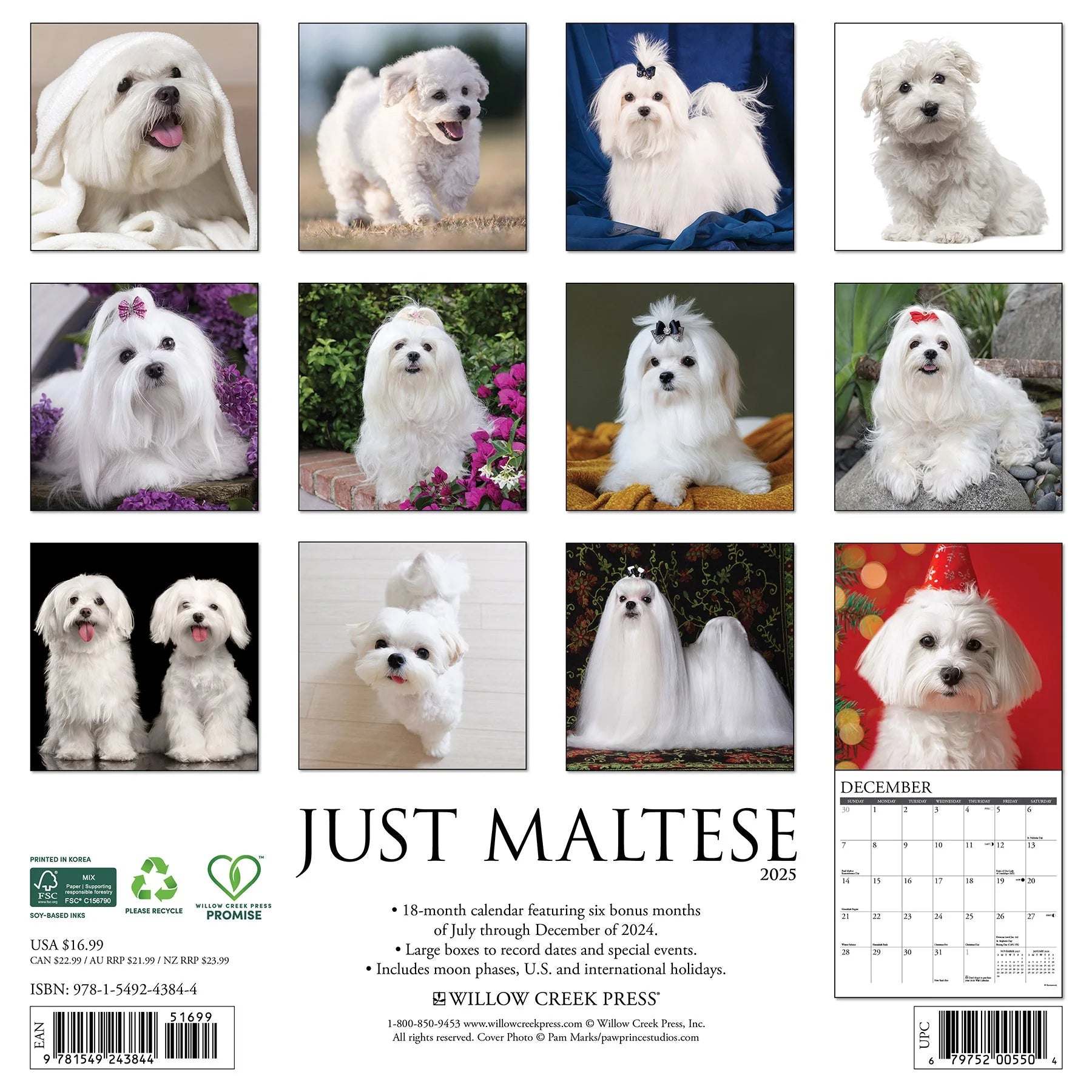 2025 Maltese Calendar