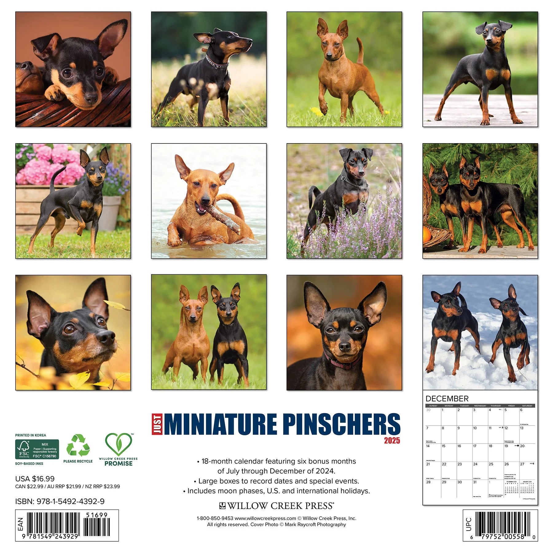 2025 Miniature Pinschers Calendar