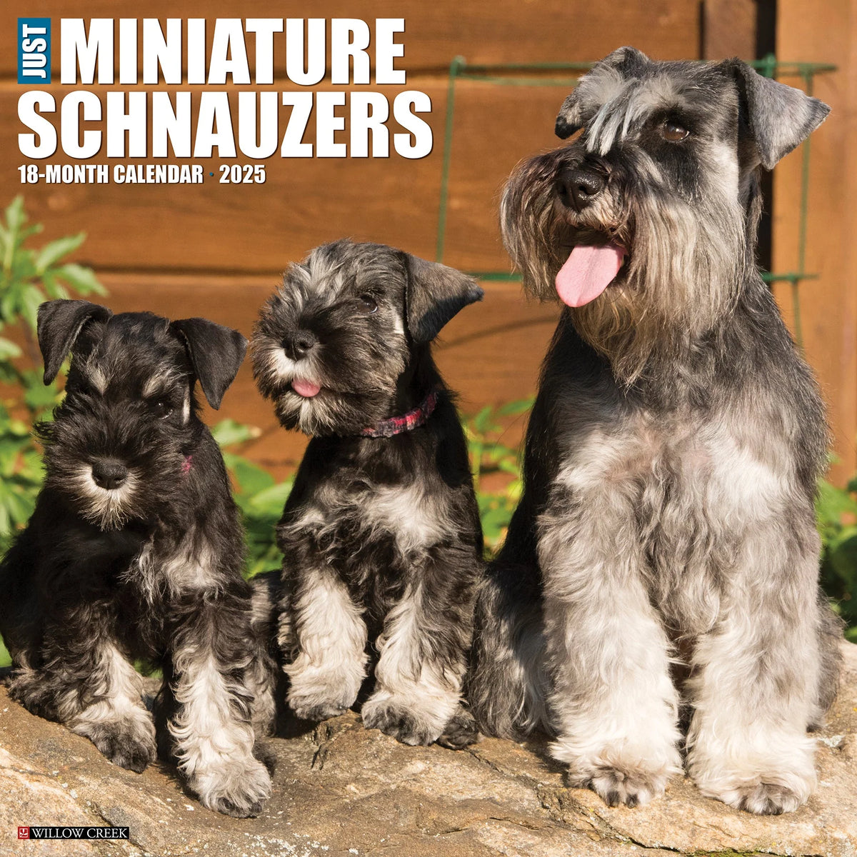 2025 Miniature Schnauzers Calendar