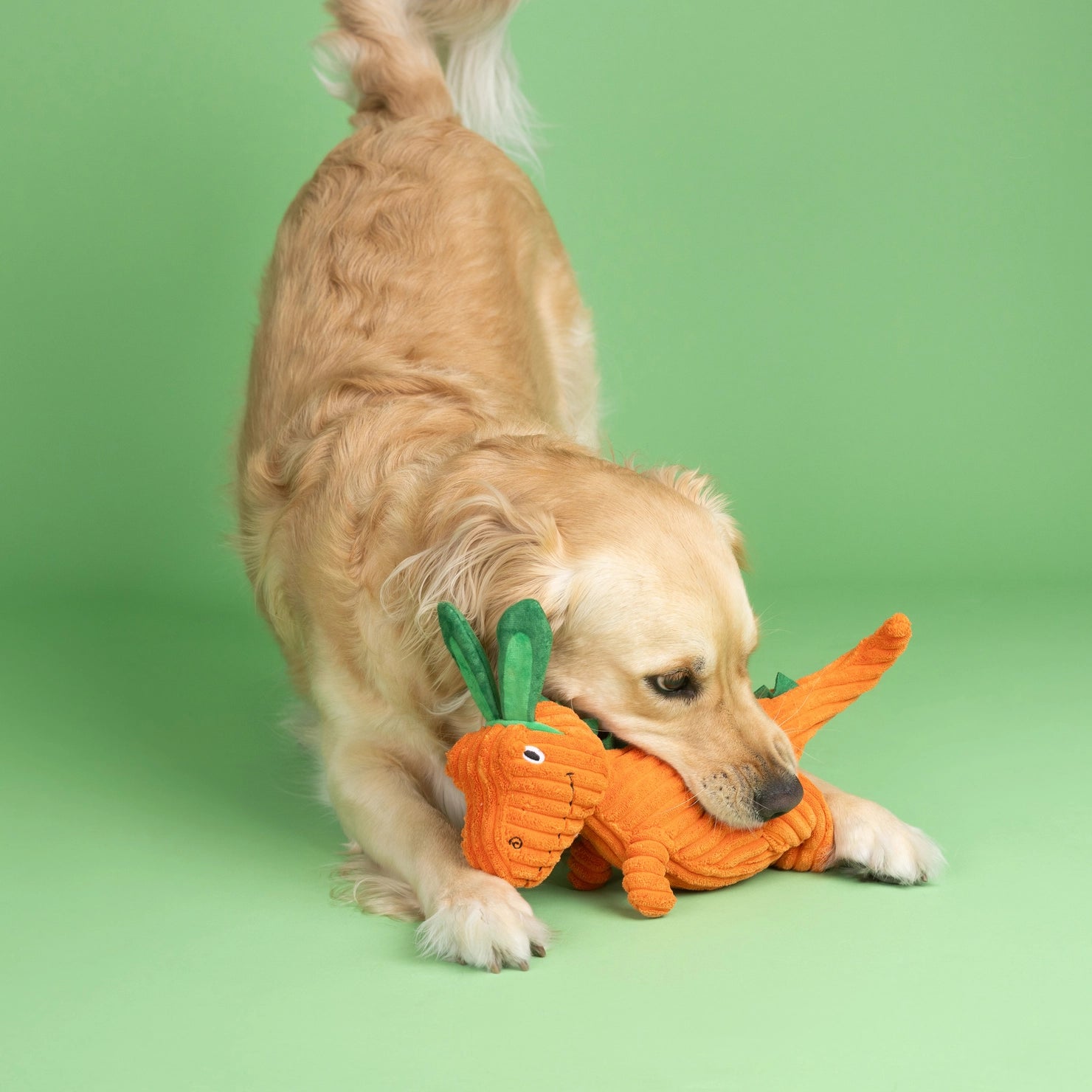 Petshop by Fringe Studio - Dog Toy Carrot Bout You