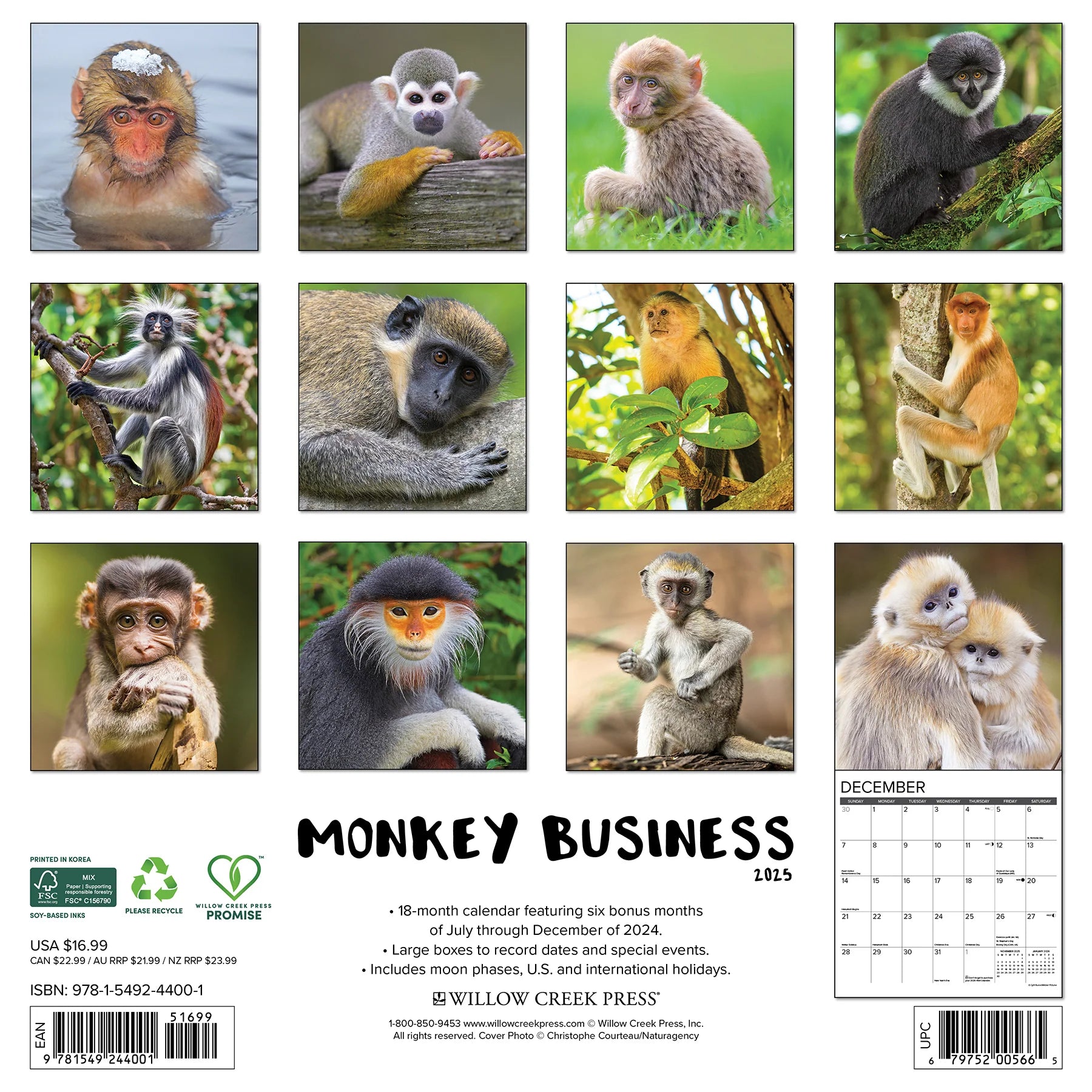 2025 Monkey Business Calendar