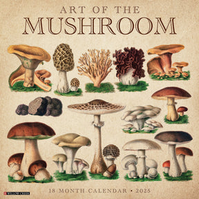 2025 Art Of The Mushroom Calendar