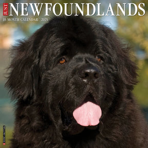 2025 Newfoundlands Calendar